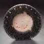 13" Grit Brush 62051
